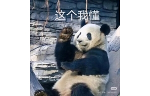ôô